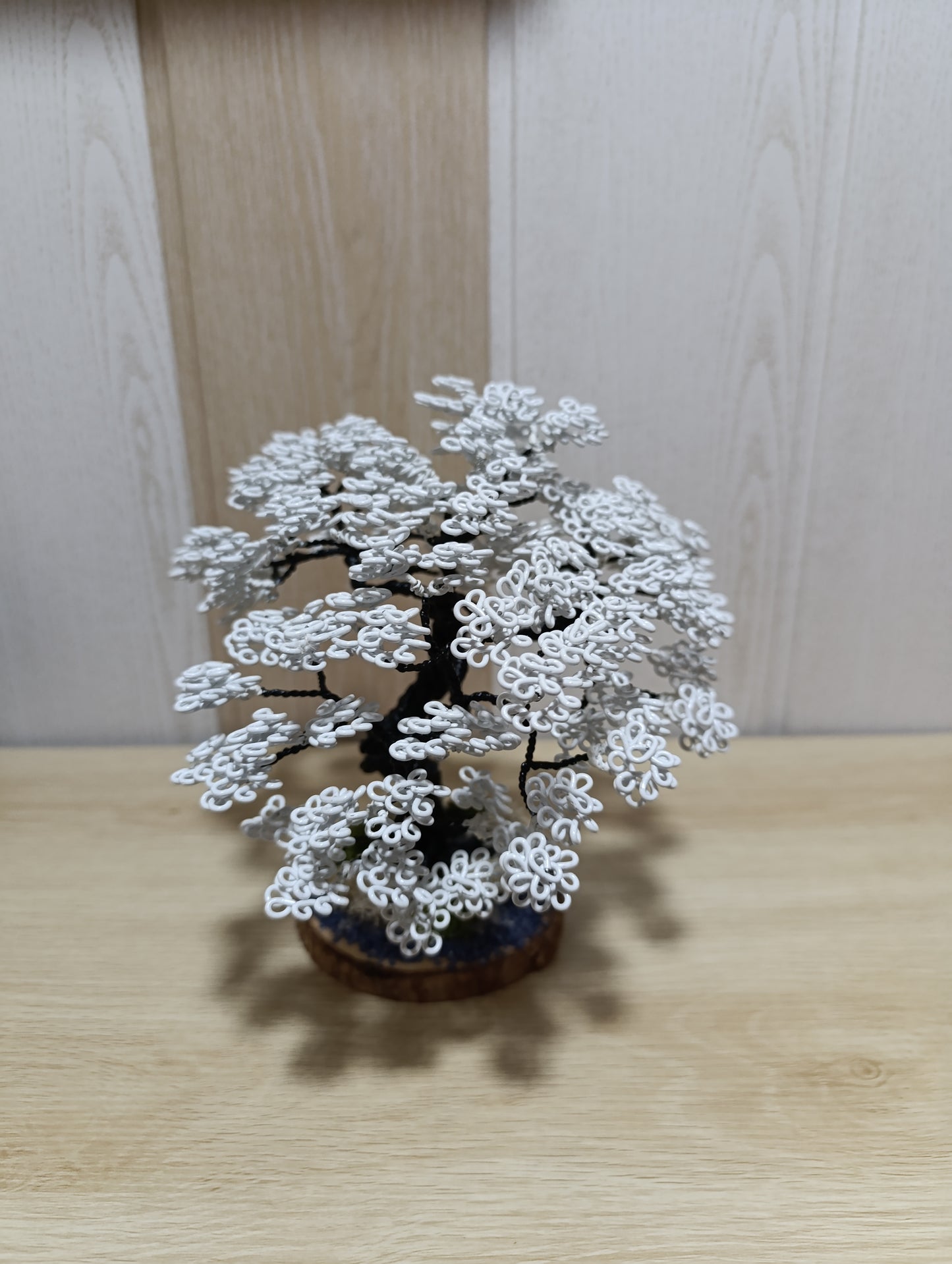 Bonsái "Sakura Blanco"