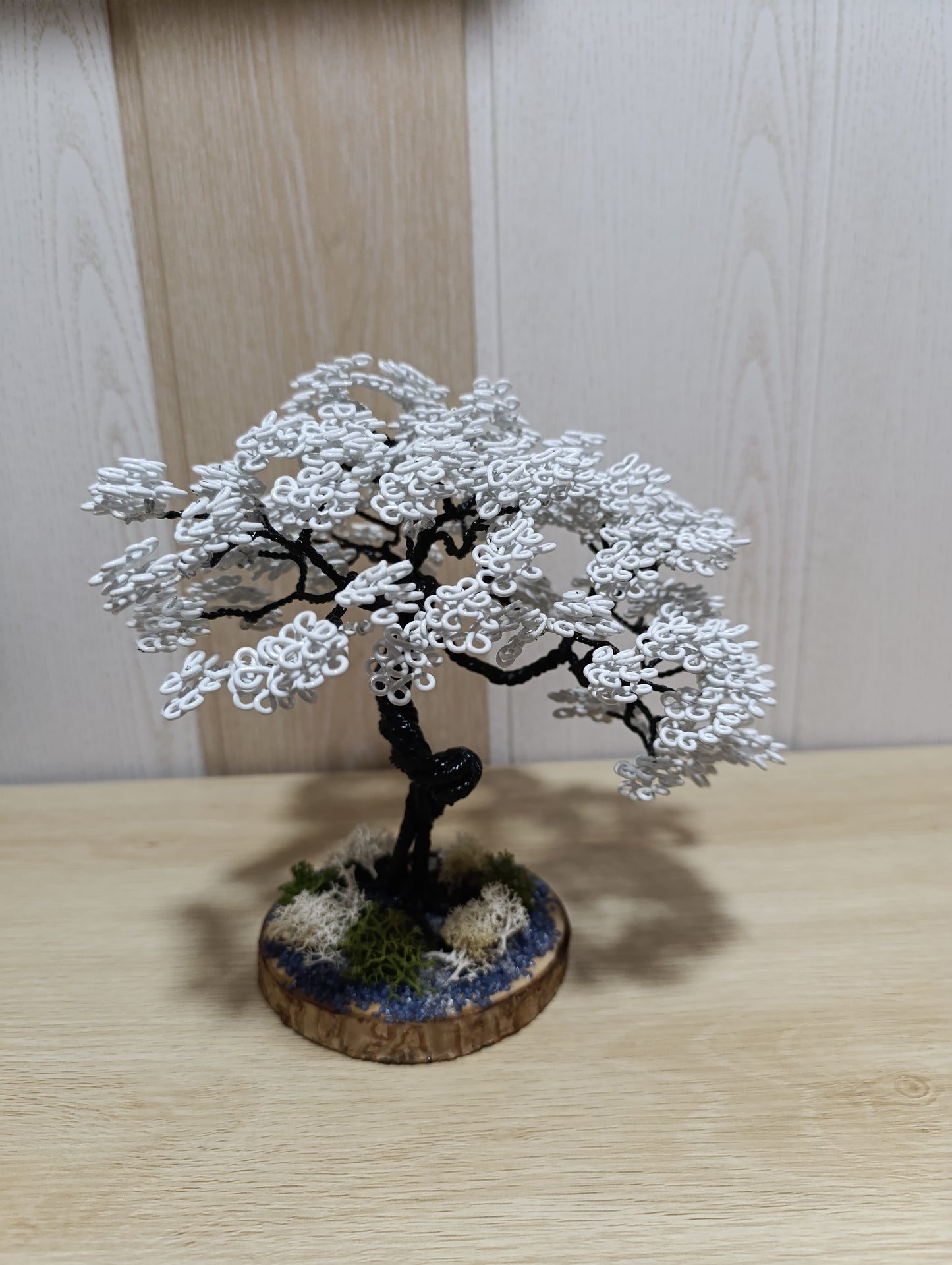 Bonsái "Sakura Blanco"