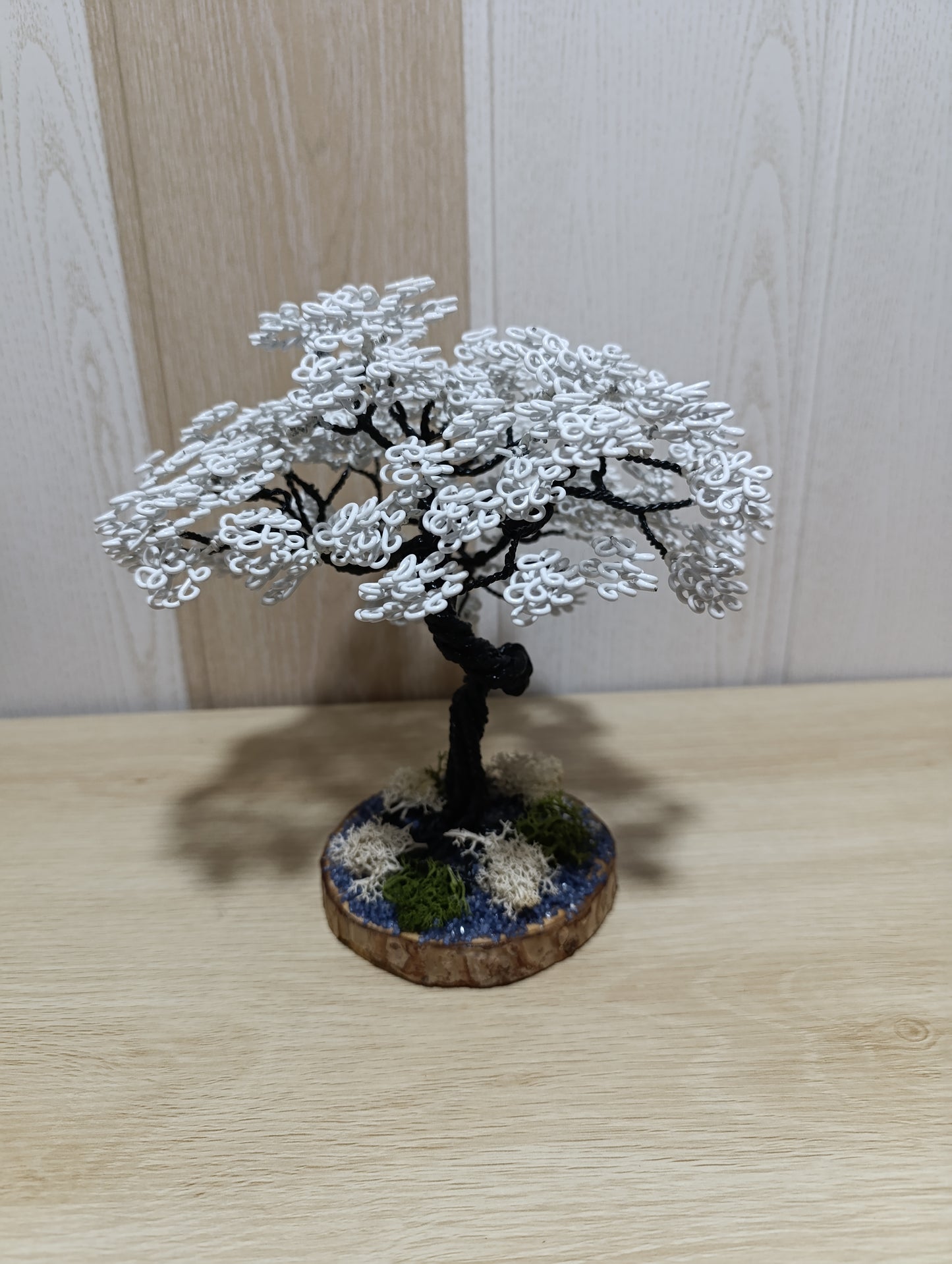 Bonsái "Sakura Blanco"
