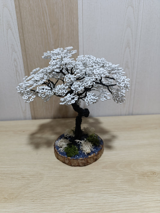 Bonsái "Sakura Blanco"