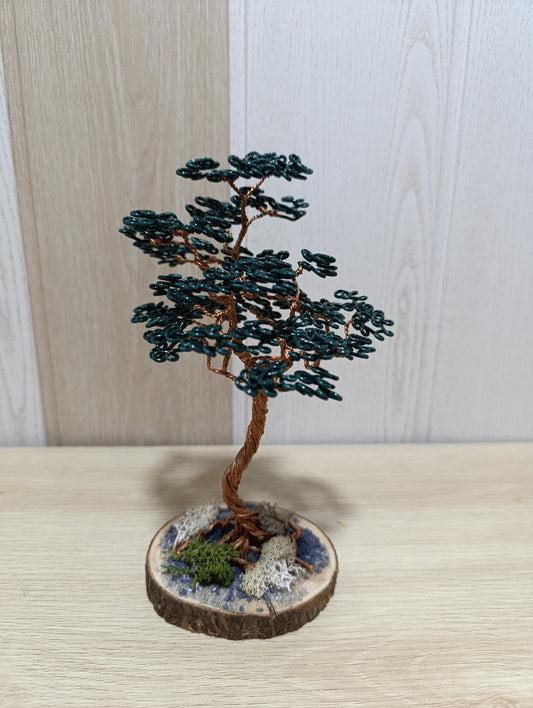 Bonsái "Vertical Azul"